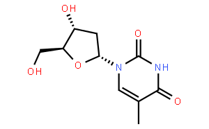 2′-脱氧胸苷