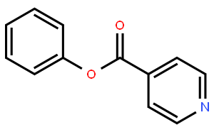 Phenyl Pyridine-4-carboxylate