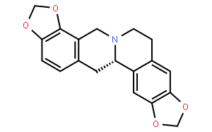 金罂粟碱