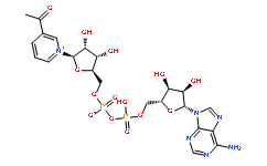 乙酰吡啶輔酶I,3-乙酰吡啶腺嘌呤二核苷酸