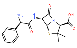 氨芐西林