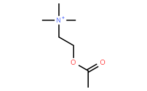 氯化乙酰膽堿