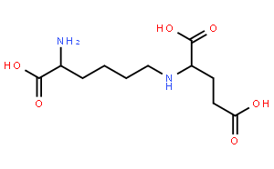 L-Saccharopine