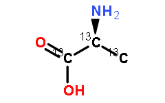 L-丙氨酸-[13C2] (溶液)