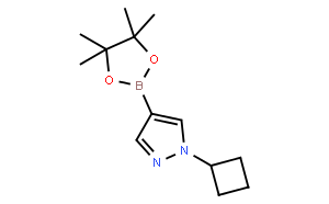 1-Cyclobutyl-4-(4,4,5,5-tetramethyl-1,3,2-dioxaborolan-2-yl)-1H-pyrazole