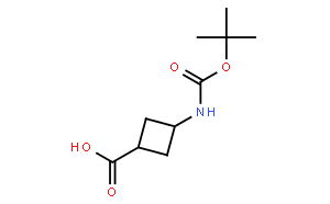 顺式-3-(Boc-氨基)环丁烷甲酸