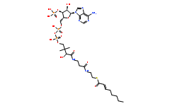 2-(反）-辛烯酰基-辅酶A