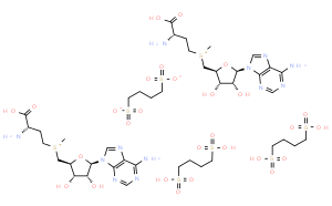S-腺苷蛋氨酸1,4-丁二磺酸盐