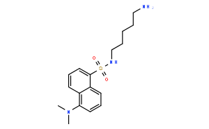 Dansyl尸胺