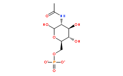 N-乙酰-D-葡糖胺-6-磷酸酯二钠盐