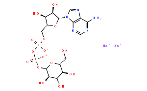 腺苷5`-二磷酸葡糖二钠盐