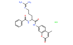 Bz-DL-Arg-Amc Hydrochloride