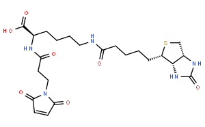 N-(3-马来酰亚胺基丙酰基)生物胞素