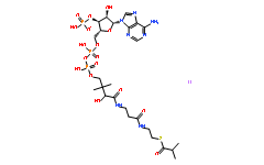 异丁酰基辅酶 A 锂盐