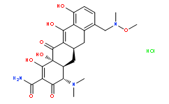 P005672(Sarecycline hcl)