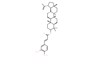 咖啡酸羽扇豆醇酯;咖啡酸羽扇豆醇