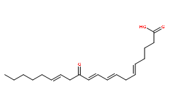 12-OxoETE