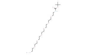 Boc-N-amido-PEG6-Amine