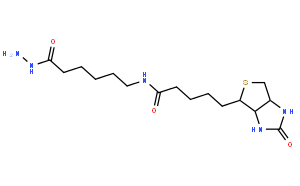 (+)-Biotinamidohexanoic acid hydrazide