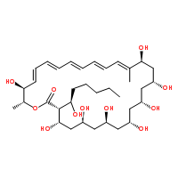 菲律賓菌素;非律平;Filipin