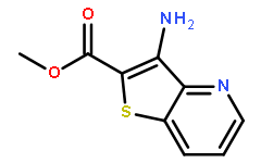 Methyl 3-aMinothieno[3