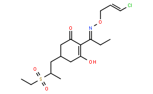 Clethodim Sulfone