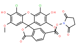 6-羧基-4',5'-二氯-2',7'-二甲氧基熒光素琥珀酰亞胺酯