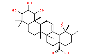 1,2,3,19-Tetrahydroxy-12-ursen-2