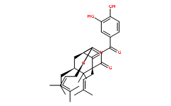 7-epi-Isogarcinol