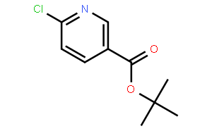 6-氯烟酸叔丁酯