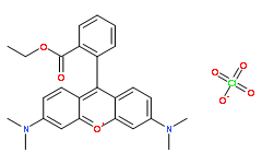 TMRE(四甲基羅丹明乙酯)