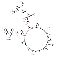 Urodilatin