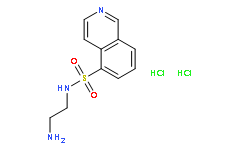H-9 dihydrochloride