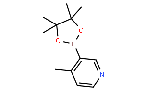 4-甲基吡啶-3-硼酸频哪醇酯