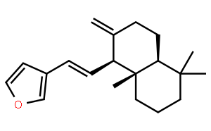 二羟丙茶碱E
