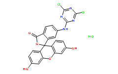 6-(4,6-二氯三嗪基)-氨基熒光素(鹽酸鹽)