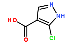 5-氯-4-羧酸-1H-吡唑