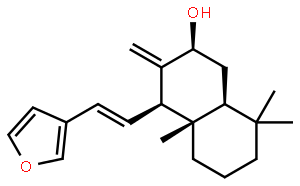 二羟丙茶碱A