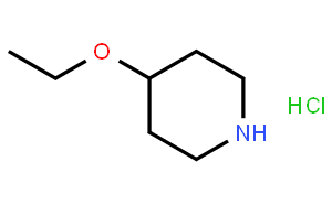 4-乙氧基哌啶盐酸盐