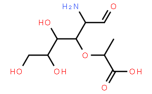 Muramic Acid