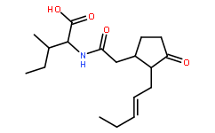茉莉酸-異亮氨酸