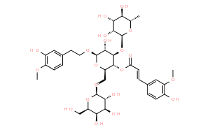 焦地黃苯乙醇苷B1