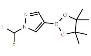 1-(difluoromethyl)-4-(4,4,5,5-tetramethyl-1,3,2-dioxaborolan-2-yl)-1H-pyrazole