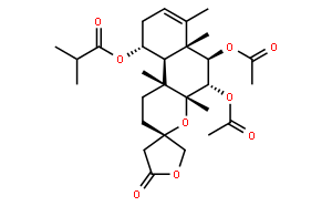 Scutebata E