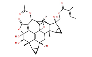 Sarcandrolide D