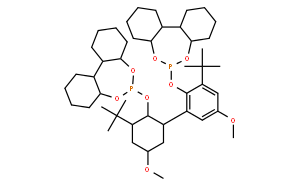 [Perfemiker]6，6'-((3，3'-二-叔丁基-5，5'-二甲氧基-[1，1'-联苯]-2， 双(氧基))二苯并[d，f] [1，3，2]二氧杂磷杂环戊二烯,97%