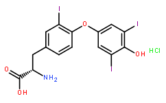 反三碘甲狀腺氨酸 -[二碘苯環-13C6]鹽酸鹽（修訂版T3）（溶液）