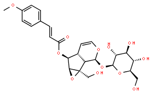 6-O-对甲氧基肉桂酰梓醇