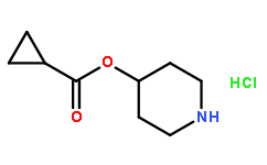 哌啶-4-基 环丙烷羧酸酯盐酸盐