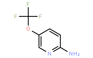 5-(Trifluoromethoxy)pyridin-2-amine